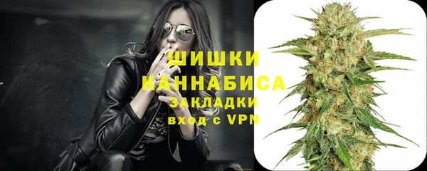крисы Вязьма