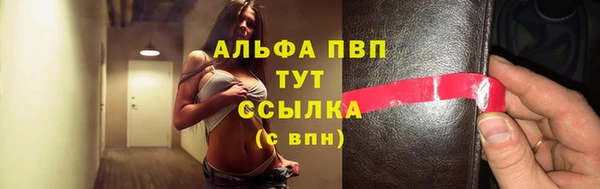 крисы Вязьма