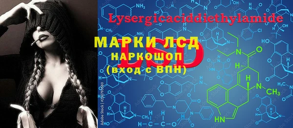 крисы Вязьма